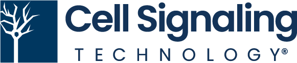 Cell-Signaling-Technology-Europe